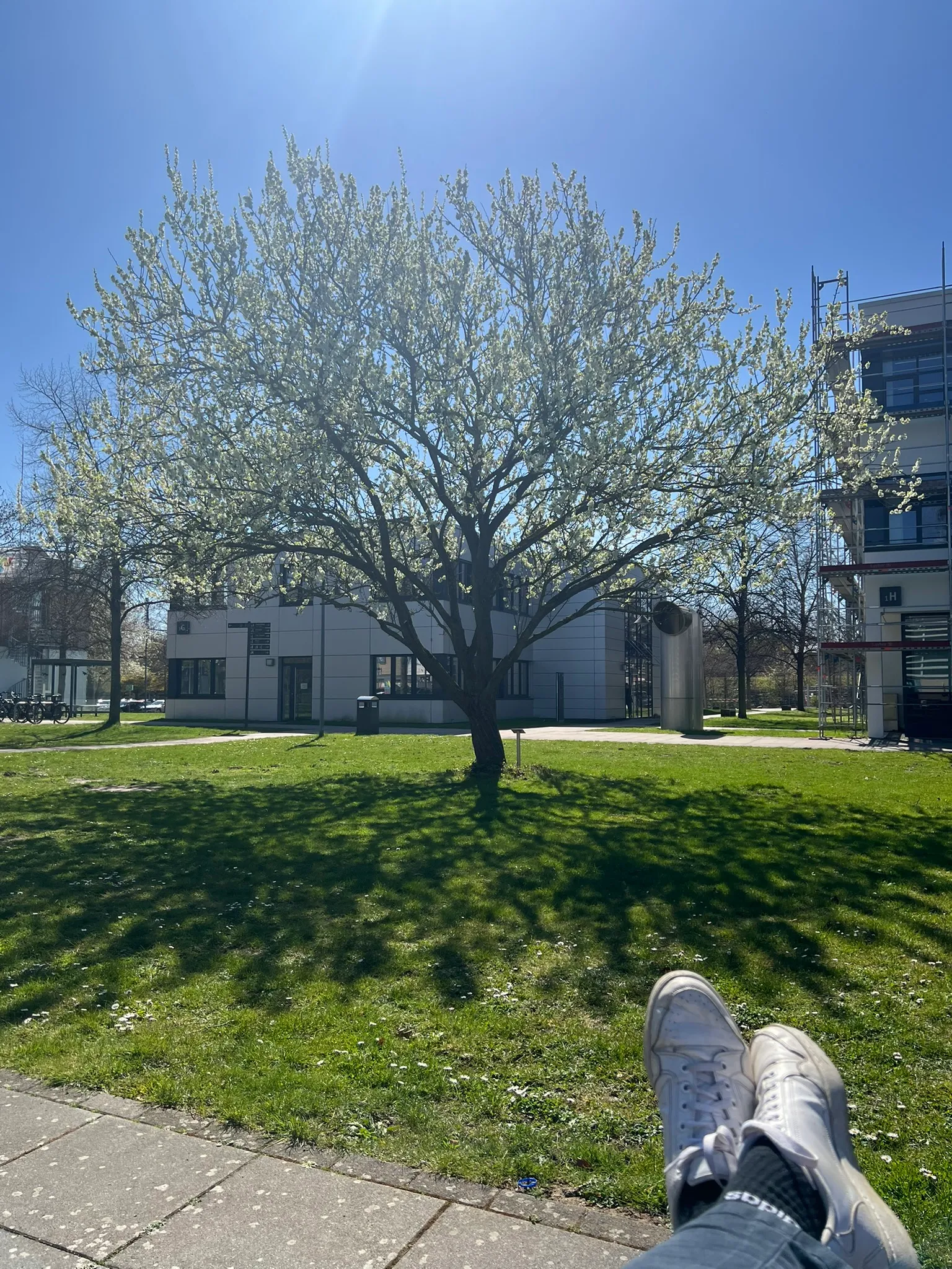 Pause auf dem schönen Campus